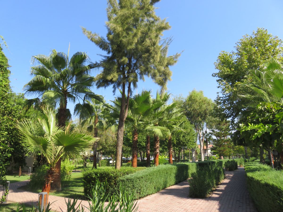 imagini hotel CLUB TUANA